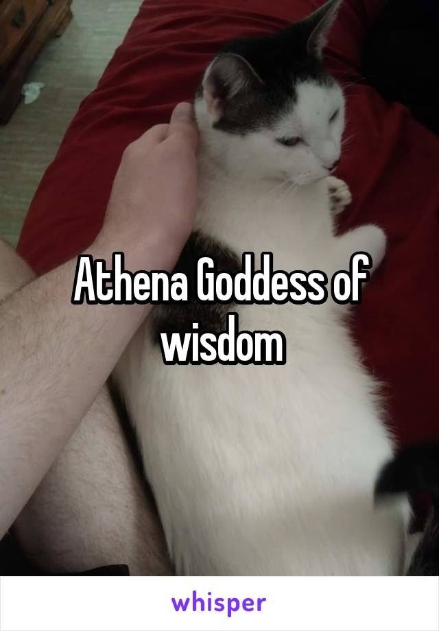 Athena Goddess of wisdom