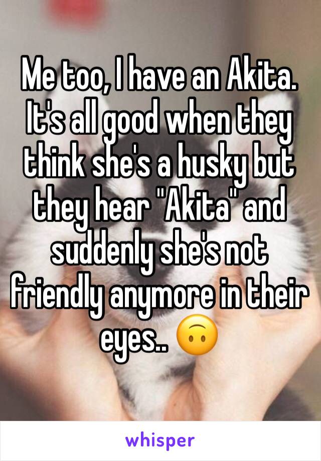 Me too, I have an Akita. It's all good when they think she's a husky but they hear "Akita" and suddenly she's not friendly anymore in their eyes.. 🙃