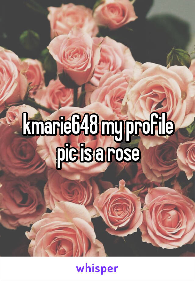 kmarie648 my profile pic is a rose