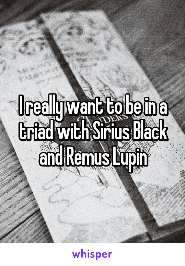 I really want to be in a triad with Sirius Black and Remus Lupin