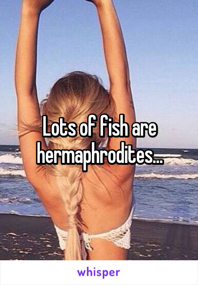 Lots of fish are hermaphrodites...