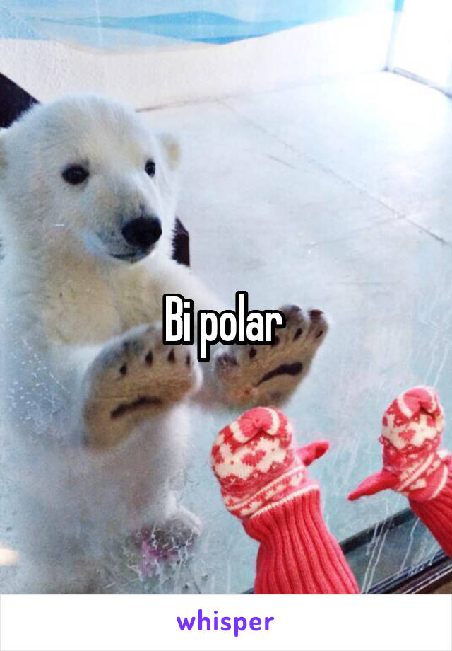 Bi polar 