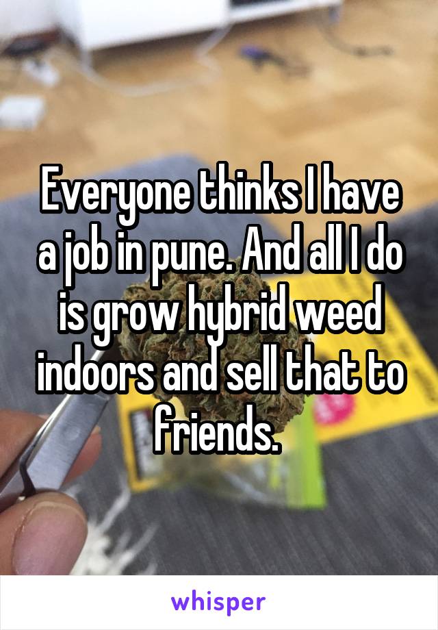 Everyone thinks I have a job in pune. And all I do is grow hybrid weed indoors and sell that to friends. 