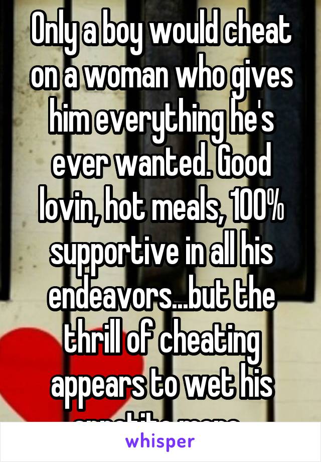 Only a boy would cheat on a woman who gives him everything he's ever wanted. Good lovin, hot meals, 100% supportive in all his endeavors...but the thrill of cheating appears to wet his appetite more. 