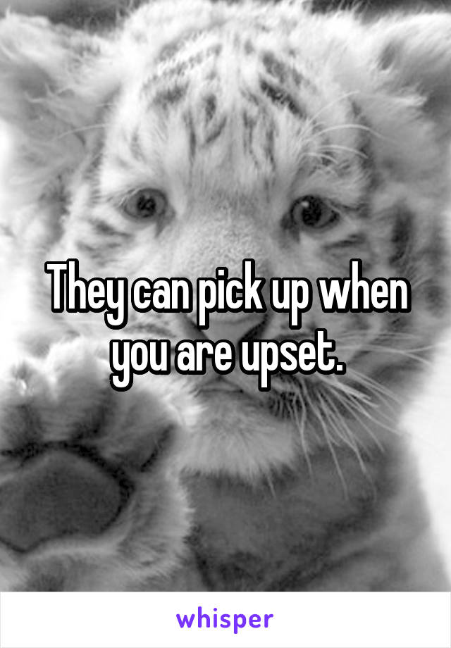 They can pick up when you are upset.