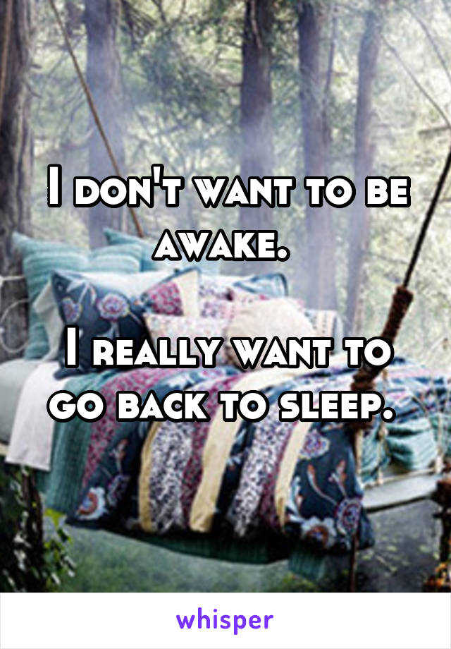 I don't want to be awake. 

I really want to go back to sleep. 
