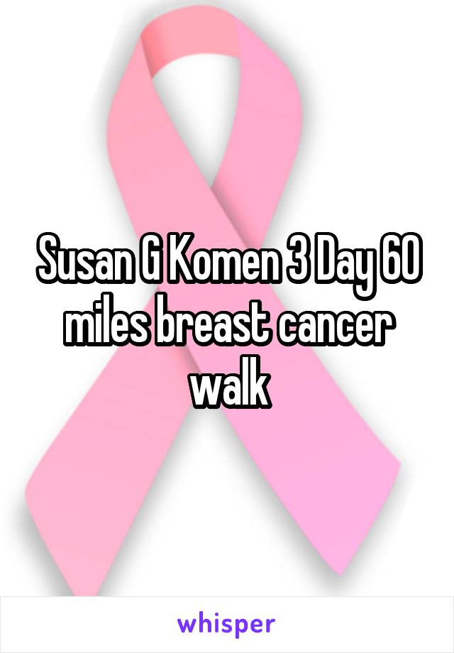Susan G Komen 3 Day 60 miles breast cancer walk