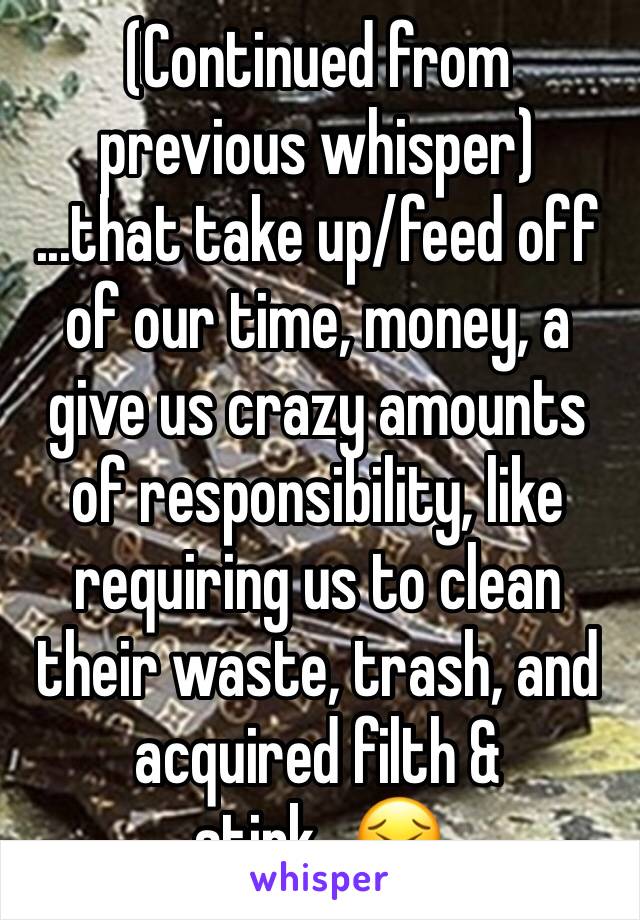(Continued from previous whisper)
...that take up/feed off of our time, money, a give us crazy amounts of responsibility, like requiring us to clean their waste, trash, and acquired filth & stink...😣