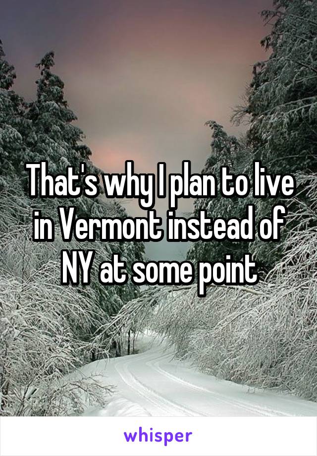 That's why I plan to live in Vermont instead of NY at some point