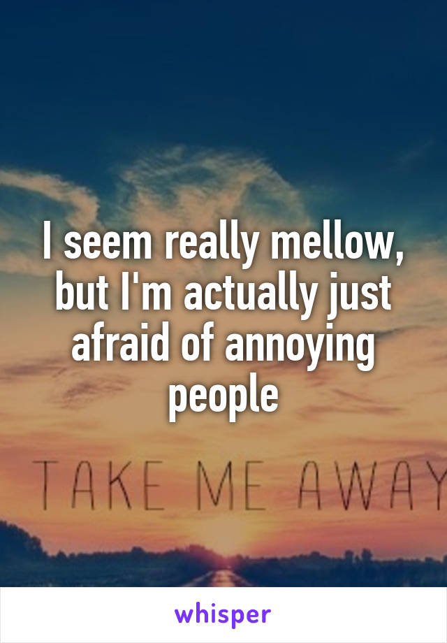 I seem really mellow, but I'm actually just afraid of annoying people