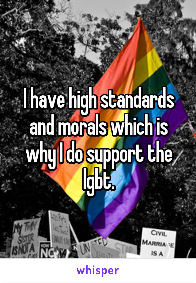 I have high standards and morals which is why I do support the lgbt.