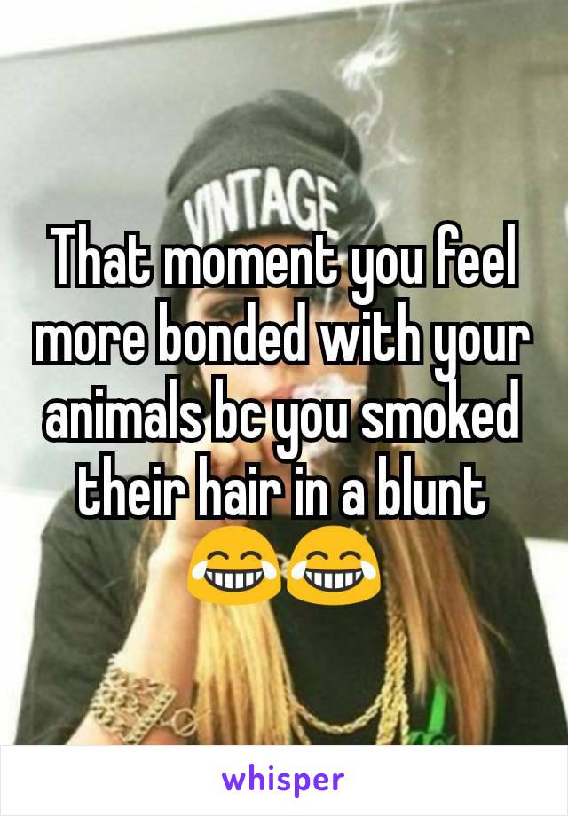 That moment you feel more bonded with your animals bc you smoked their hair in a blunt 😂😂