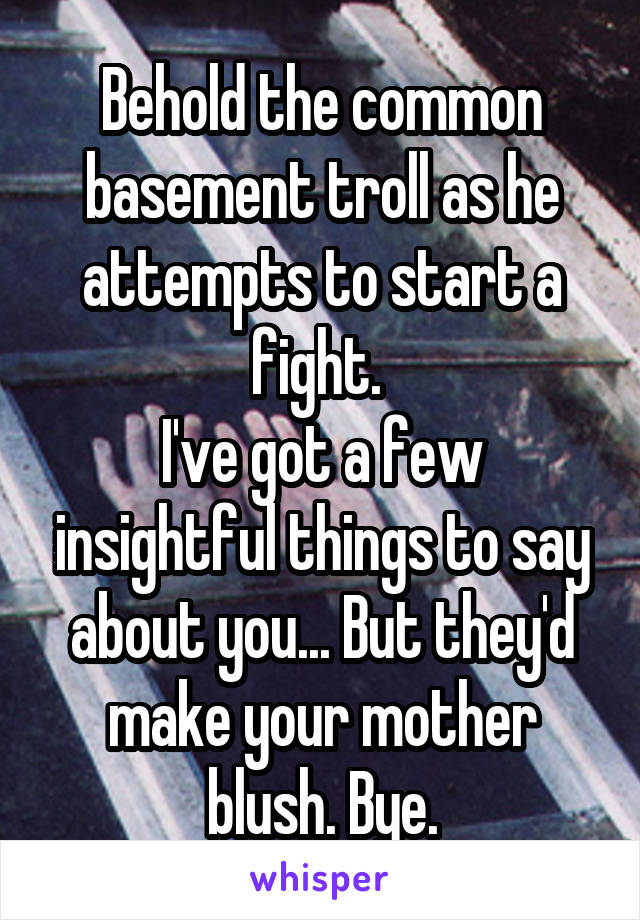 Behold the common basement troll as he attempts to start a fight. 
I've got a few insightful things to say about you... But they'd make your mother blush. Bye.