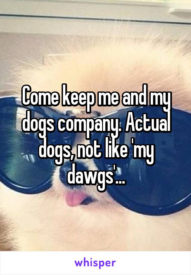 Come keep me and my dogs company. Actual dogs, not like 'my dawgs'...