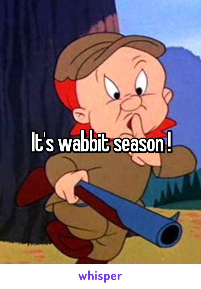 It's wabbit season !