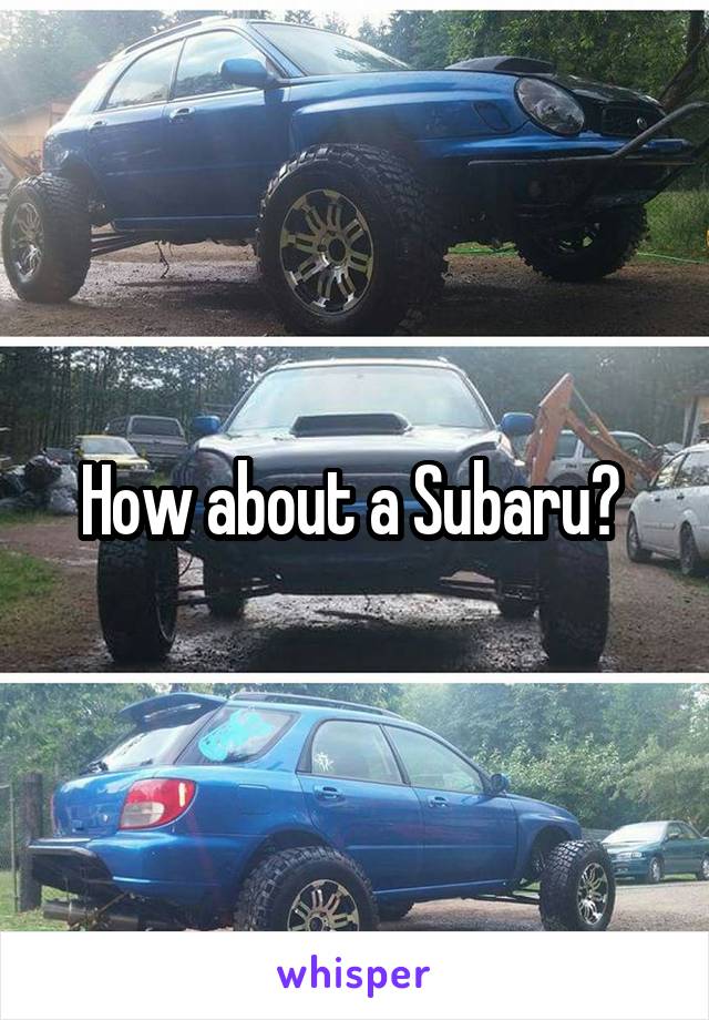 How about a Subaru? 