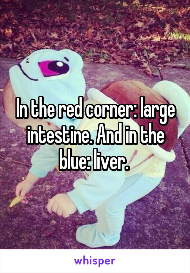 In the red corner: large intestine. And in the blue: liver. 