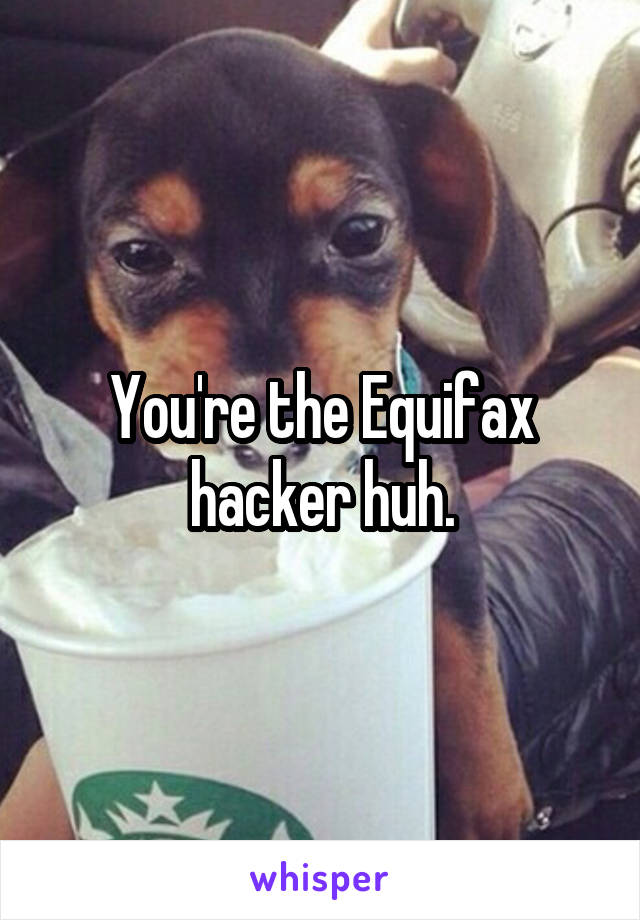 You're the Equifax hacker huh.