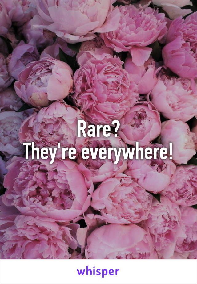 Rare?
They're everywhere!