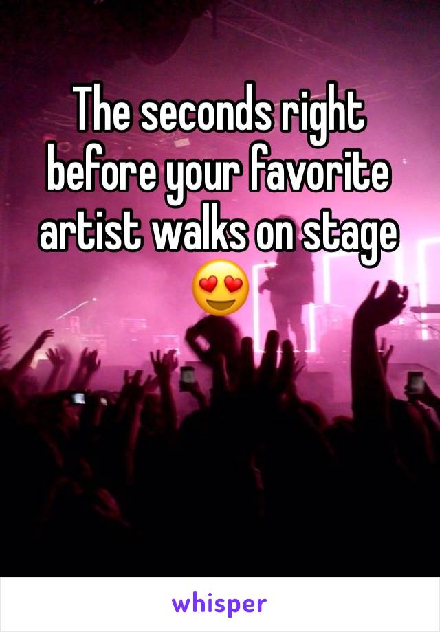 The seconds right before your favorite artist walks on stage 😍