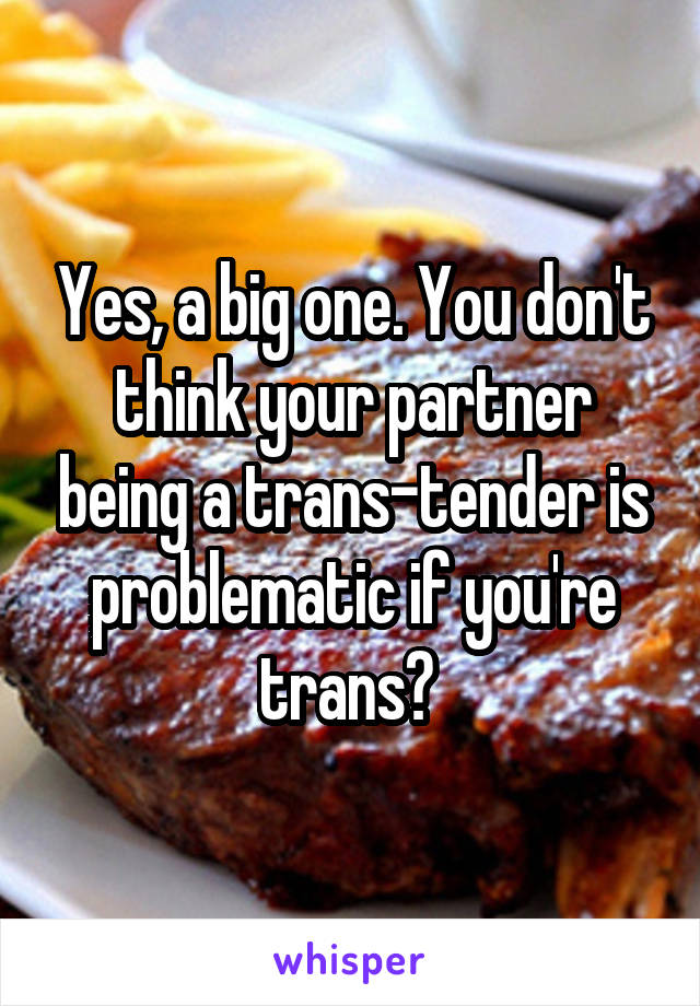 Yes, a big one. You don't think your partner being a trans-tender is problematic if you're trans? 