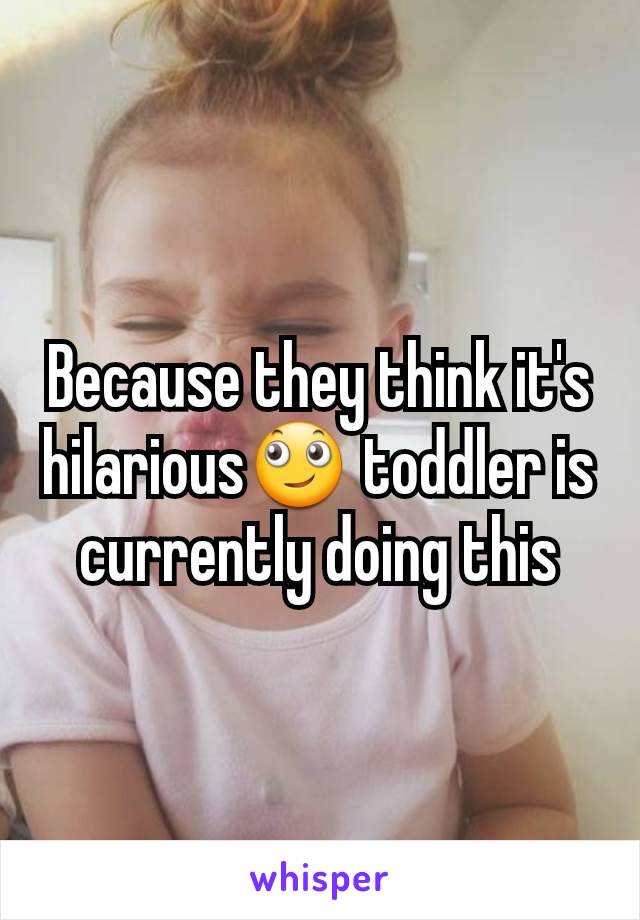 Because they think it's hilarious🙄 toddler is currently doing this