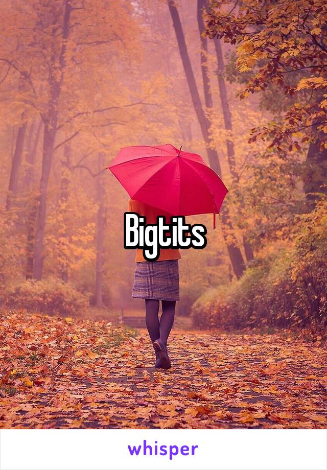 Bigtits