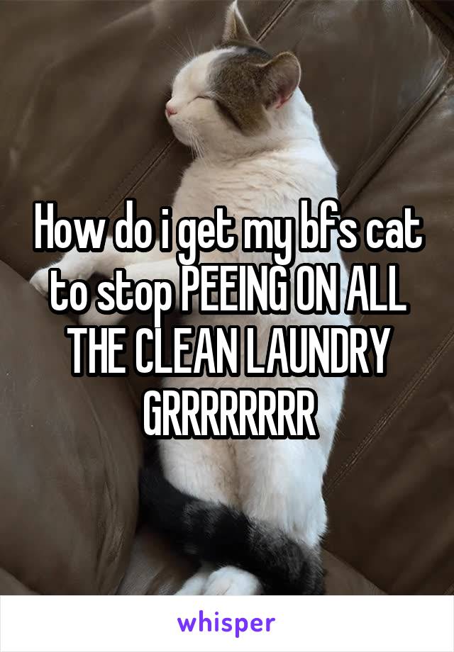 How do i get my bfs cat to stop PEEING ON ALL THE CLEAN LAUNDRY
GRRRRRRRR