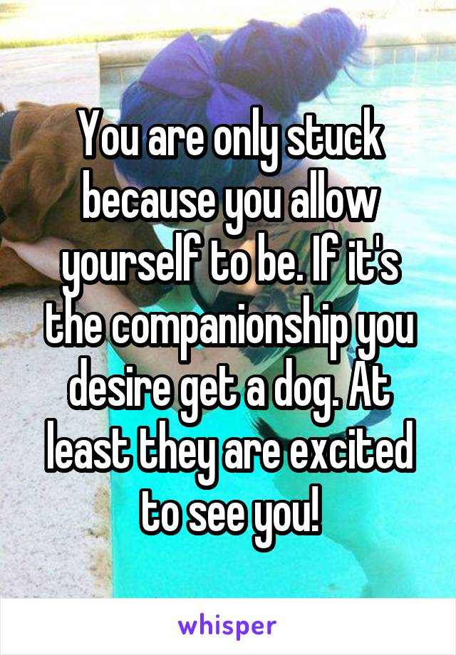 You are only stuck because you allow yourself to be. If it's the companionship you desire get a dog. At least they are excited to see you!
