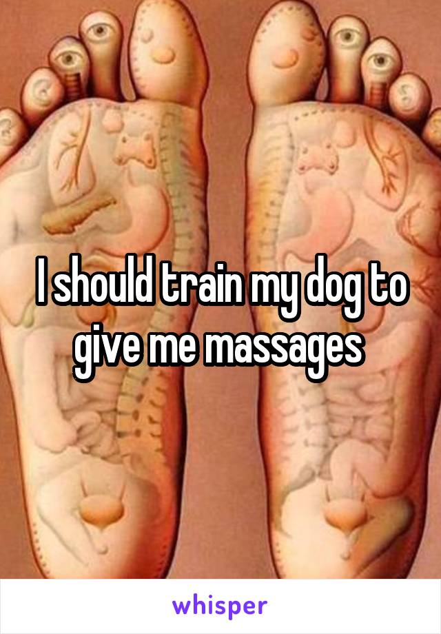 I should train my dog to give me massages 