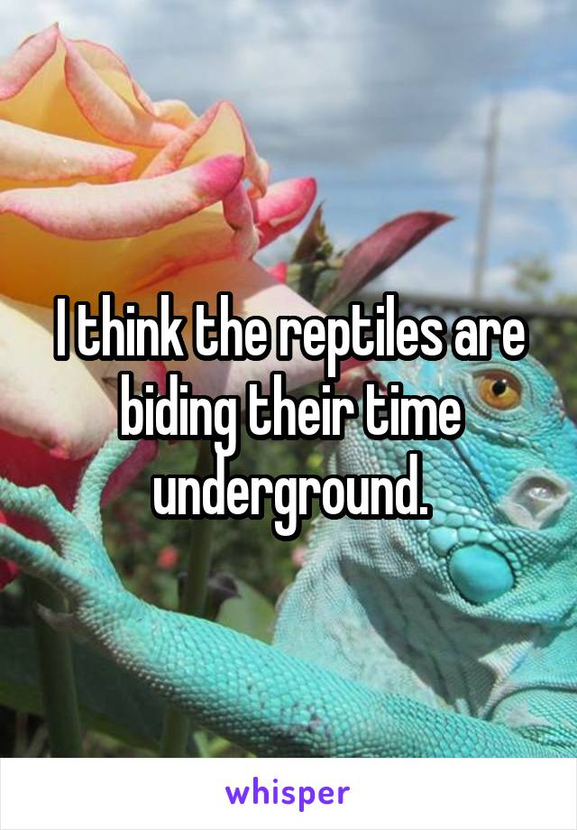I think the reptiles are biding their time underground.