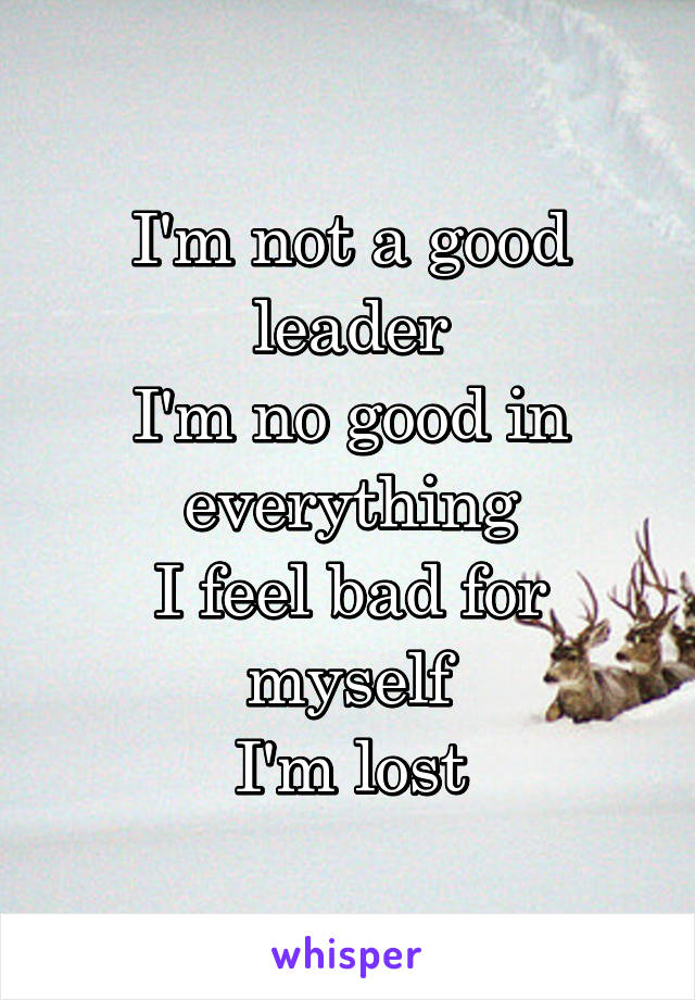 I'm not a good leader
I'm no good in everything
I feel bad for myself
I'm lost