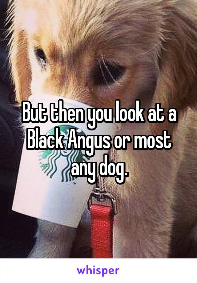 But then you look at a Black Angus or most any dog.