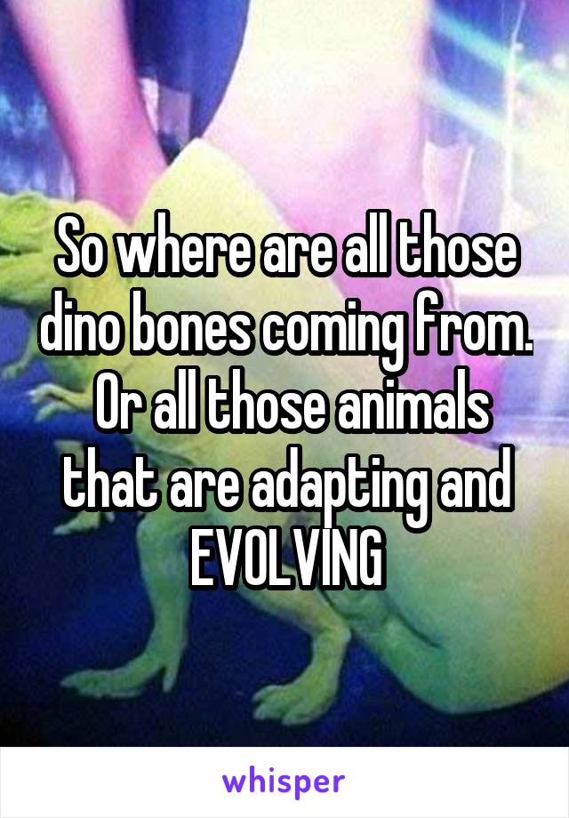 So where are all those dino bones coming from.  Or all those animals that are adapting and EVOLVING