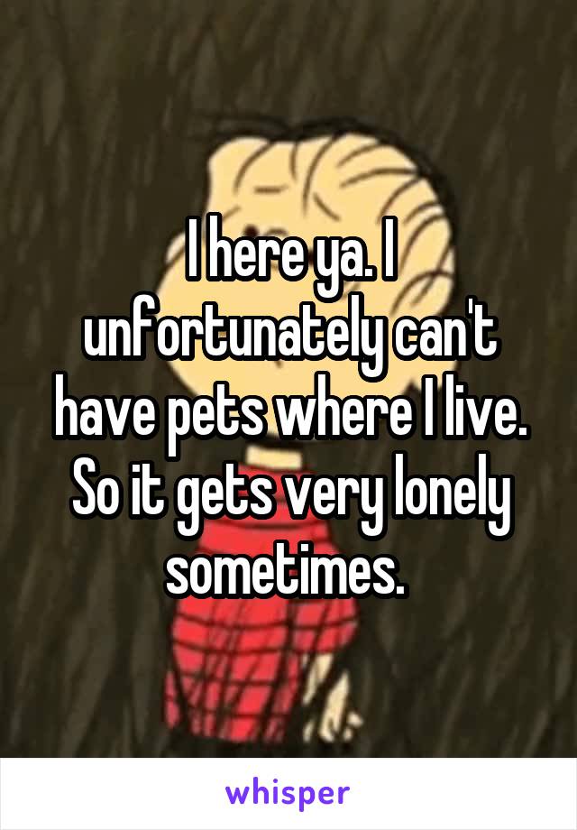 I here ya. I unfortunately can't have pets where I live. So it gets very lonely sometimes. 