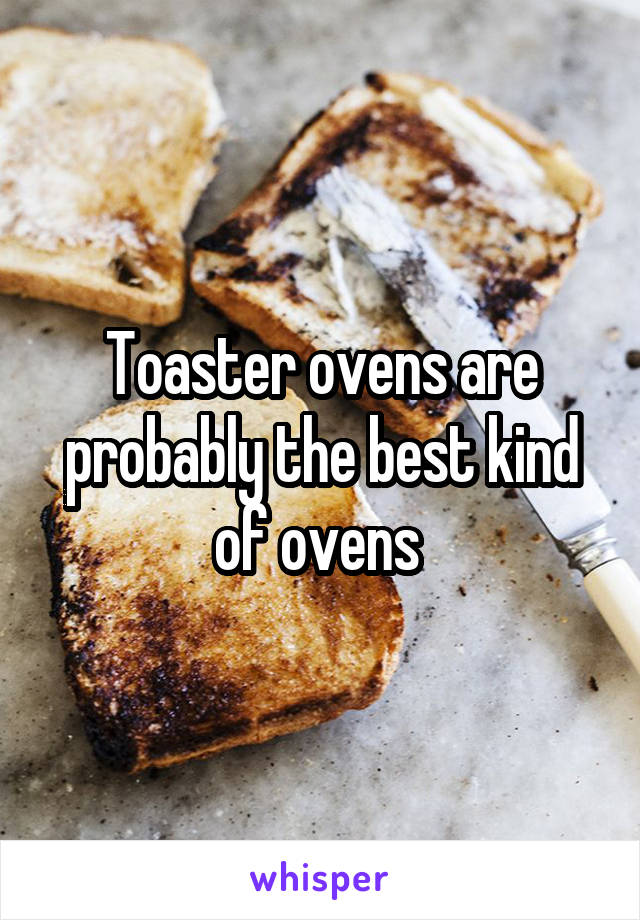 Toaster ovens are probably the best kind of ovens 
