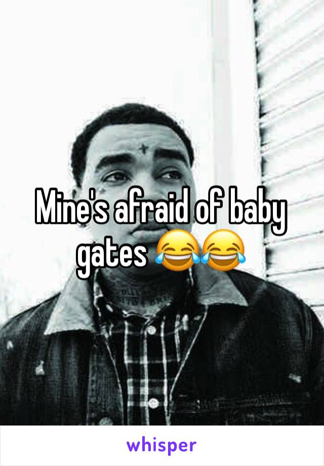 Mine's afraid of baby gates 😂😂
