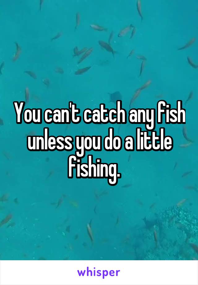 You can't catch any fish unless you do a little fishing.   
