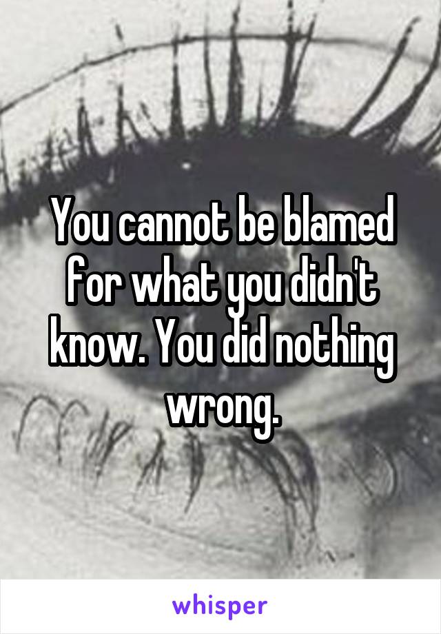 You cannot be blamed for what you didn't know. You did nothing wrong.