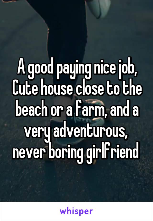 A good paying nice job, Cute house close to the beach or a farm, and a very adventurous,  never boring girlfriend 
