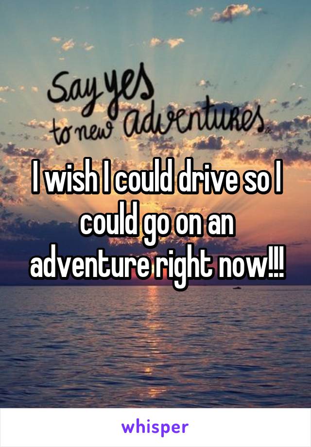 I wish I could drive so I could go on an adventure right now!!!