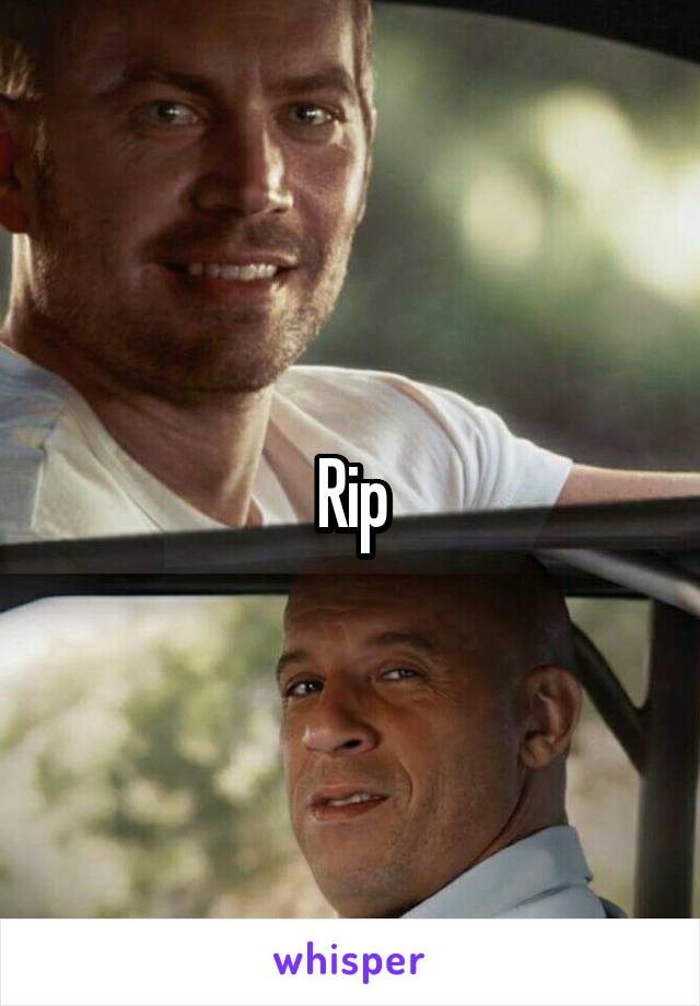 Rip