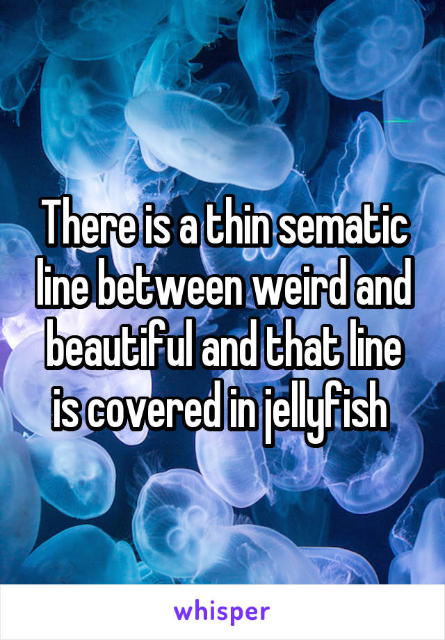 There is a thin sematic line between weird and beautiful and that line is covered in jellyfish 