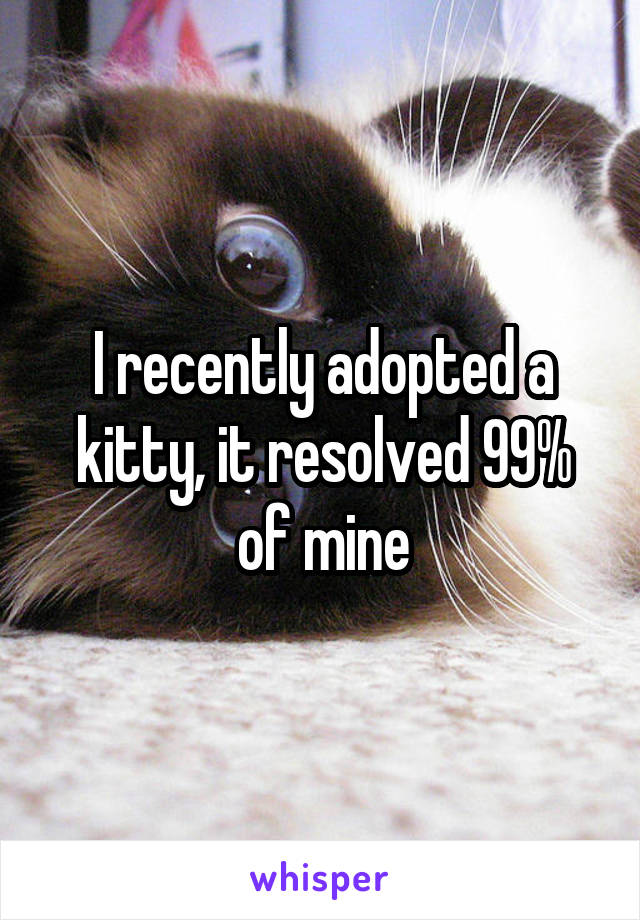 I recently adopted a kitty, it resolved 99% of mine