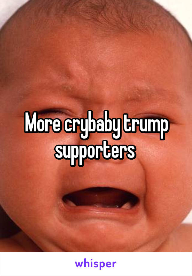 More crybaby trump supporters 