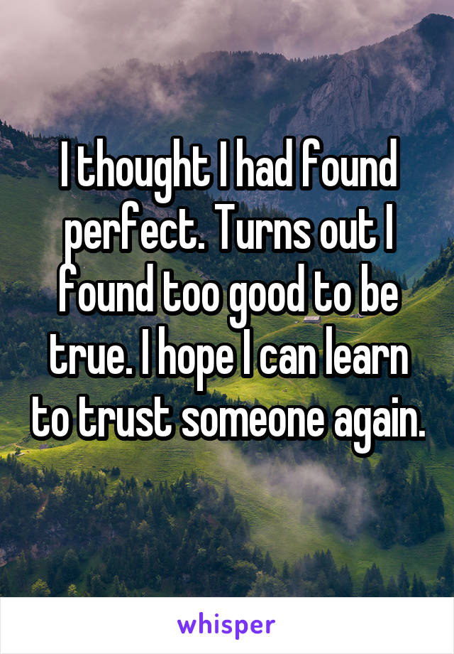 I thought I had found perfect. Turns out I found too good to be true. I hope I can learn to trust someone again. 