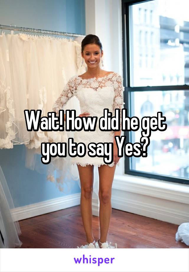 Wait! How did he get you to say Yes?