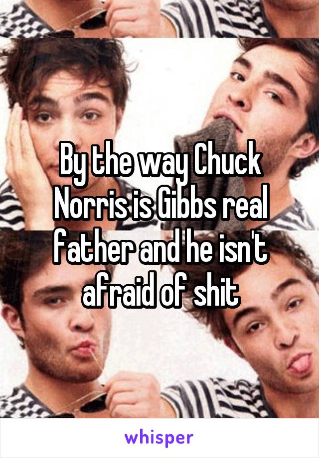 By the way Chuck Norris is Gibbs real father and he isn't afraid of shit