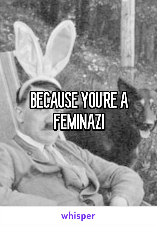 BECAUSE YOU'RE A FEMINAZI