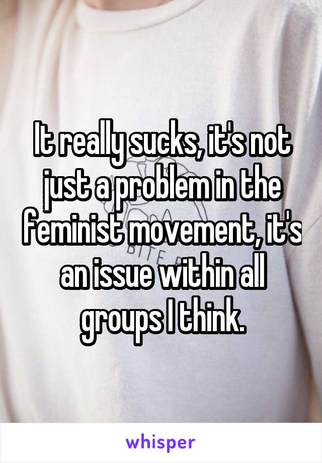 It really sucks, it's not just a problem in the feminist movement, it's an issue within all groups I think.